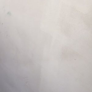 Meet your Posher, Liliana